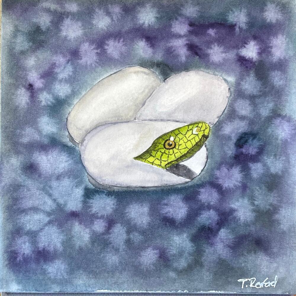 Hand painted watercolor original painting baby snake hatch
